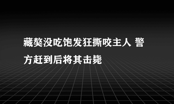 藏獒没吃饱发狂撕咬主人 警方赶到后将其击毙