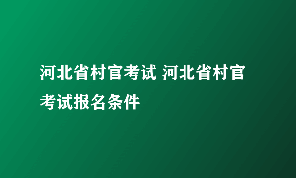 河北省村官考试 河北省村官考试报名条件