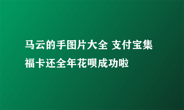 马云的手图片大全 支付宝集福卡还全年花呗成功啦