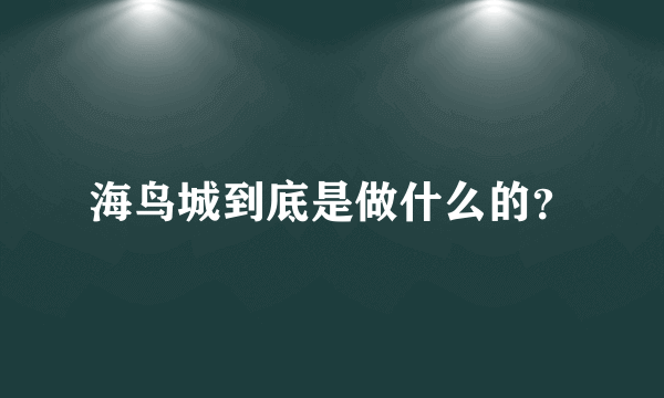 海鸟城到底是做什么的？