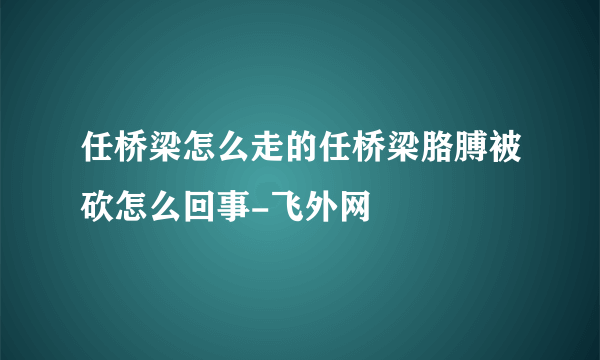 任桥梁怎么走的任桥梁胳膊被砍怎么回事-飞外网