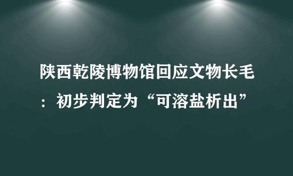 陕西乾陵博物馆回应文物长毛：初步判定为“可溶盐析出”