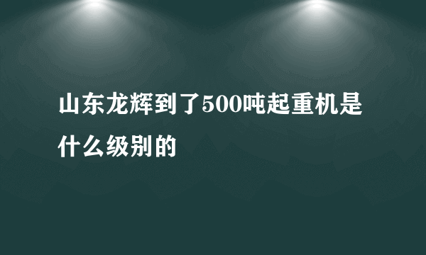 山东龙辉到了500吨起重机是什么级别的