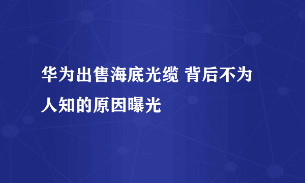 华为出售海底光缆 背后不为人知的原因曝光