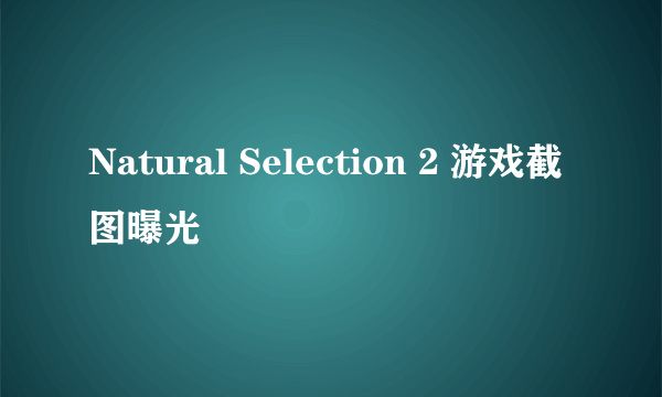 Natural Selection 2 游戏截图曝光