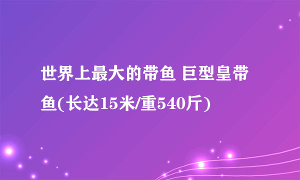 世界上最大的带鱼 巨型皇带鱼(长达15米/重540斤)