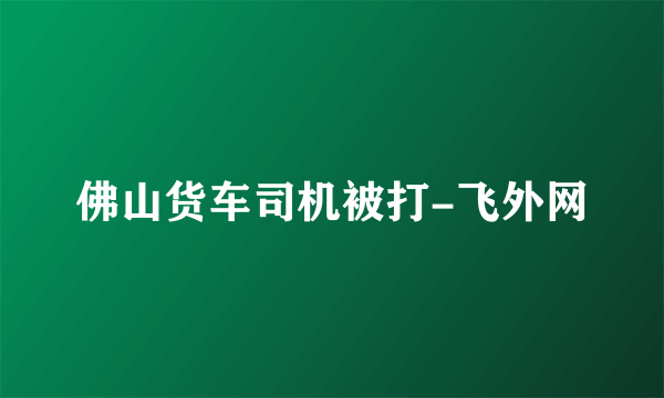 佛山货车司机被打-飞外网