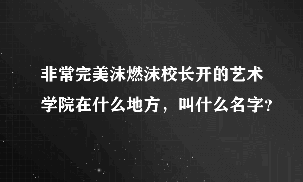 非常完美沫燃沫校长开的艺术学院在什么地方，叫什么名字？