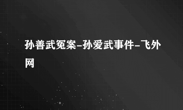 孙善武冤案-孙爱武事件-飞外网