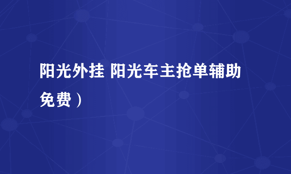 阳光外挂 阳光车主抢单辅助免费）