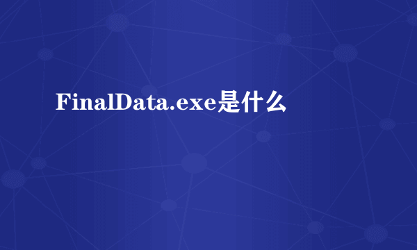 FinalData.exe是什么