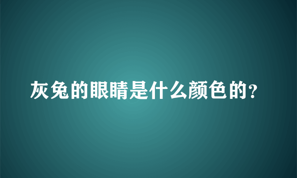 灰兔的眼睛是什么颜色的？