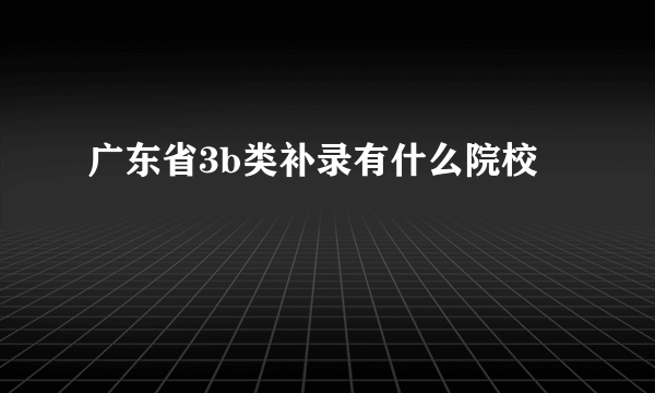 广东省3b类补录有什么院校