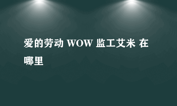 爱的劳动 WOW 监工艾米 在哪里