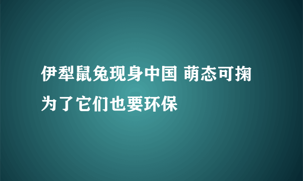 伊犁鼠兔现身中国 萌态可掬为了它们也要环保