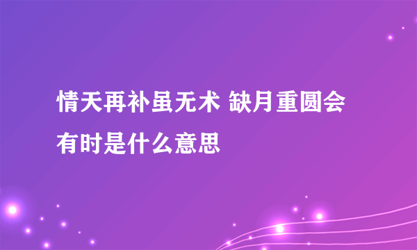 情天再补虽无术 缺月重圆会有时是什么意思