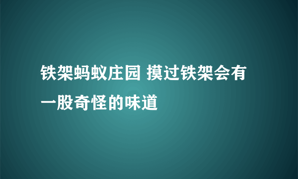 铁架蚂蚁庄园 摸过铁架会有一股奇怪的味道