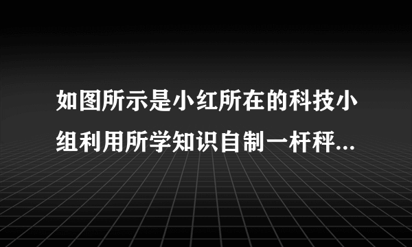 如图所示是小红所在的科技小组利用所学知识自制一杆秤（自重不计）。