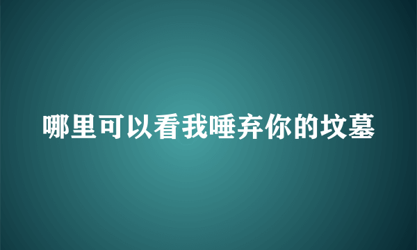 哪里可以看我唾弃你的坟墓