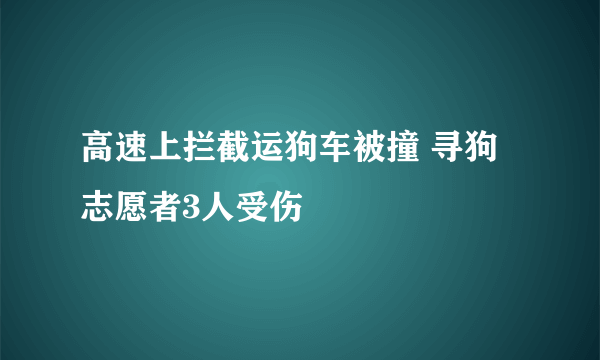 高速上拦截运狗车被撞 寻狗志愿者3人受伤