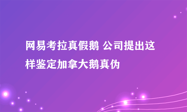 网易考拉真假鹅 公司提出这样鉴定加拿大鹅真伪