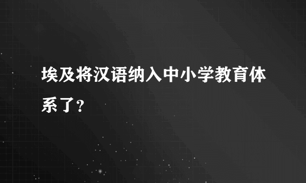 埃及将汉语纳入中小学教育体系了？