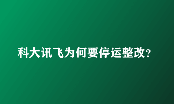 科大讯飞为何要停运整改？