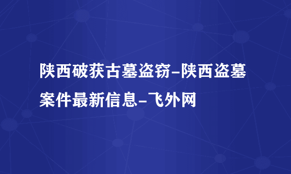 陕西破获古墓盗窃-陕西盗墓案件最新信息-飞外网