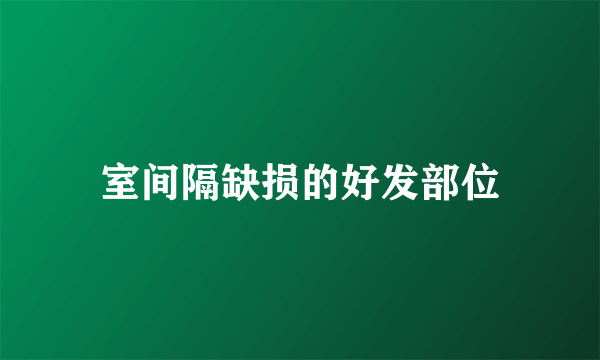 室间隔缺损的好发部位