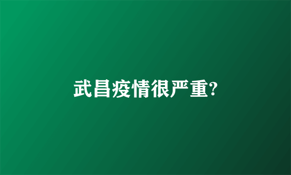 武昌疫情很严重?