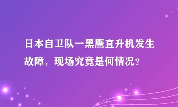 日本自卫队一黑鹰直升机发生故障，现场究竟是何情况？