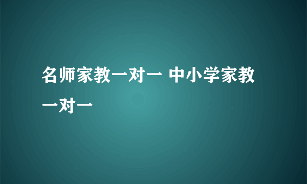 名师家教一对一 中小学家教一对一