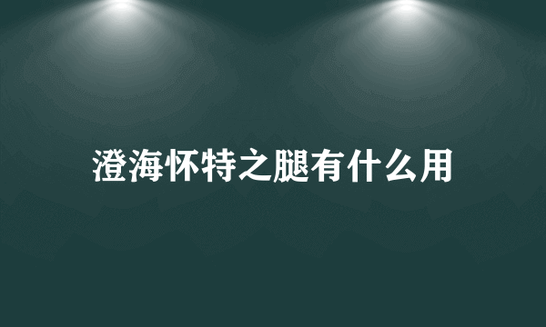 澄海怀特之腿有什么用