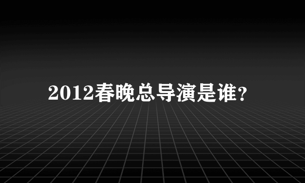 2012春晚总导演是谁？