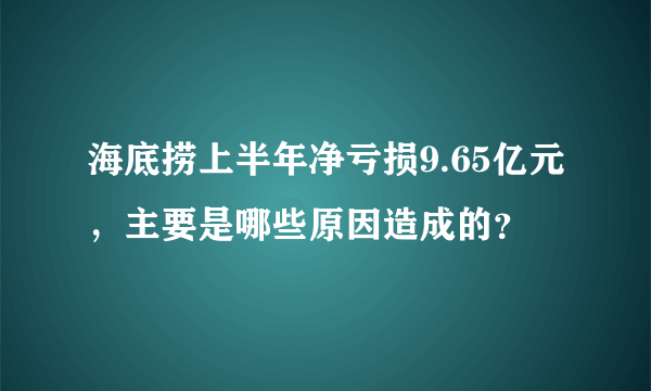 海底捞上半年净亏损9.65亿元，主要是哪些原因造成的？