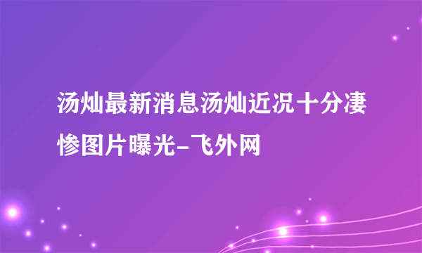 汤灿最新消息汤灿近况十分凄惨图片曝光-飞外网