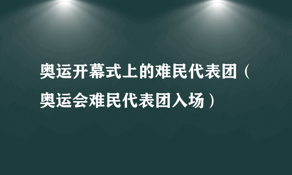 奥运开幕式上的难民代表团（奥运会难民代表团入场）