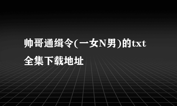 帅哥通缉令(一女N男)的txt全集下载地址