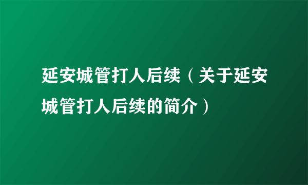 延安城管打人后续（关于延安城管打人后续的简介）