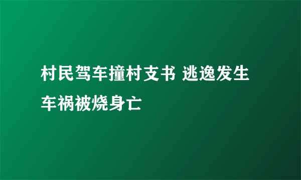 村民驾车撞村支书 逃逸发生车祸被烧身亡