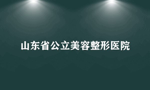 山东省公立美容整形医院