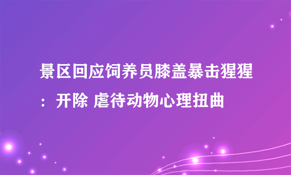 景区回应饲养员膝盖暴击猩猩：开除 虐待动物心理扭曲