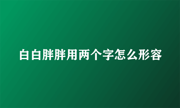 白白胖胖用两个字怎么形容