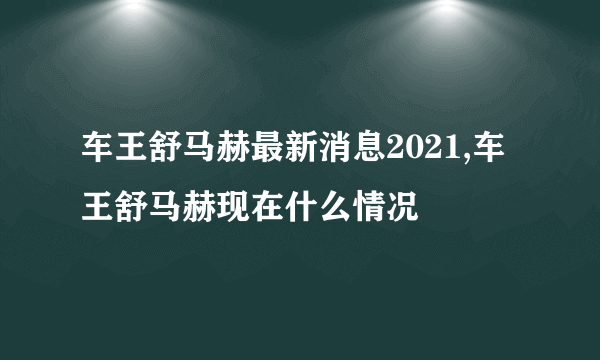 车王舒马赫最新消息2021,车王舒马赫现在什么情况