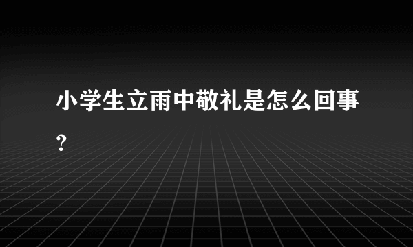 小学生立雨中敬礼是怎么回事？