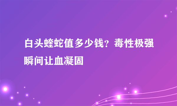 白头蝰蛇值多少钱？毒性极强瞬间让血凝固 