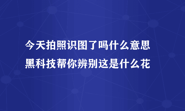 今天拍照识图了吗什么意思 黑科技帮你辨别这是什么花