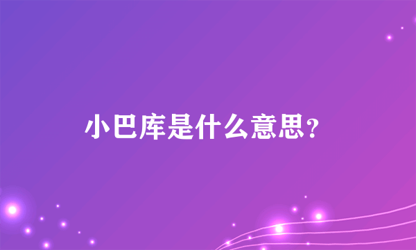 小巴库是什么意思？