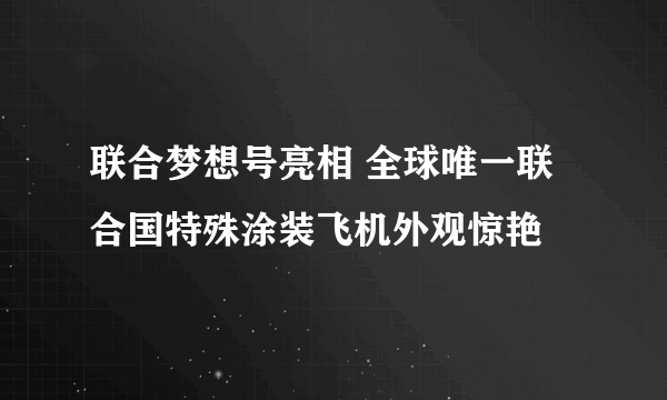 联合梦想号亮相 全球唯一联合国特殊涂装飞机外观惊艳