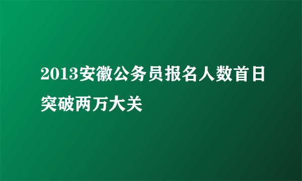 2013安徽公务员报名人数首日突破两万大关